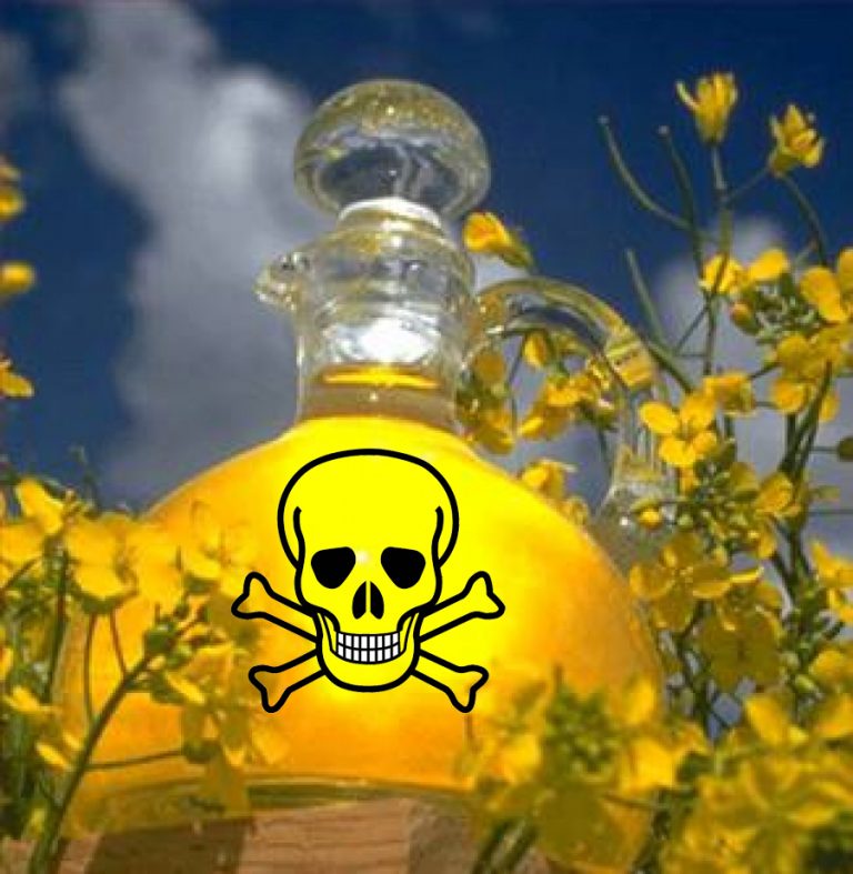 The Worst of the Worst Canola Oil + Video Simply and Naturally