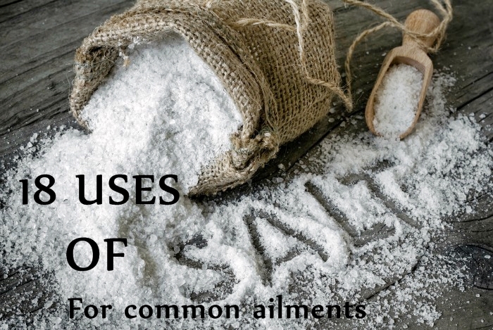 Uses Of Unrefined Salt