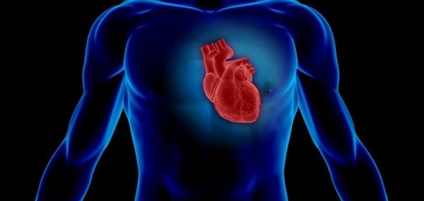 7 Boosters For The Heart And Circulation