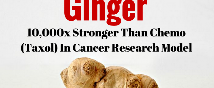 New Study: Ginger is 10,000x Stronger Than Chemo (Taxol) in Cancer Research Model