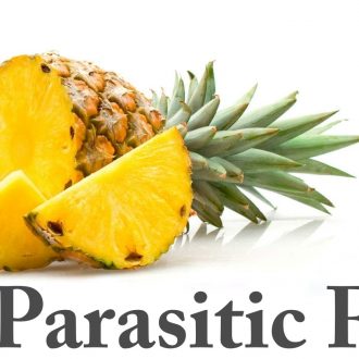 Anti-Parasitic Foods In Your Diet