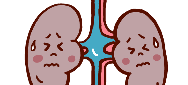 Kidney Cleanse by Dr. Hulda Clark