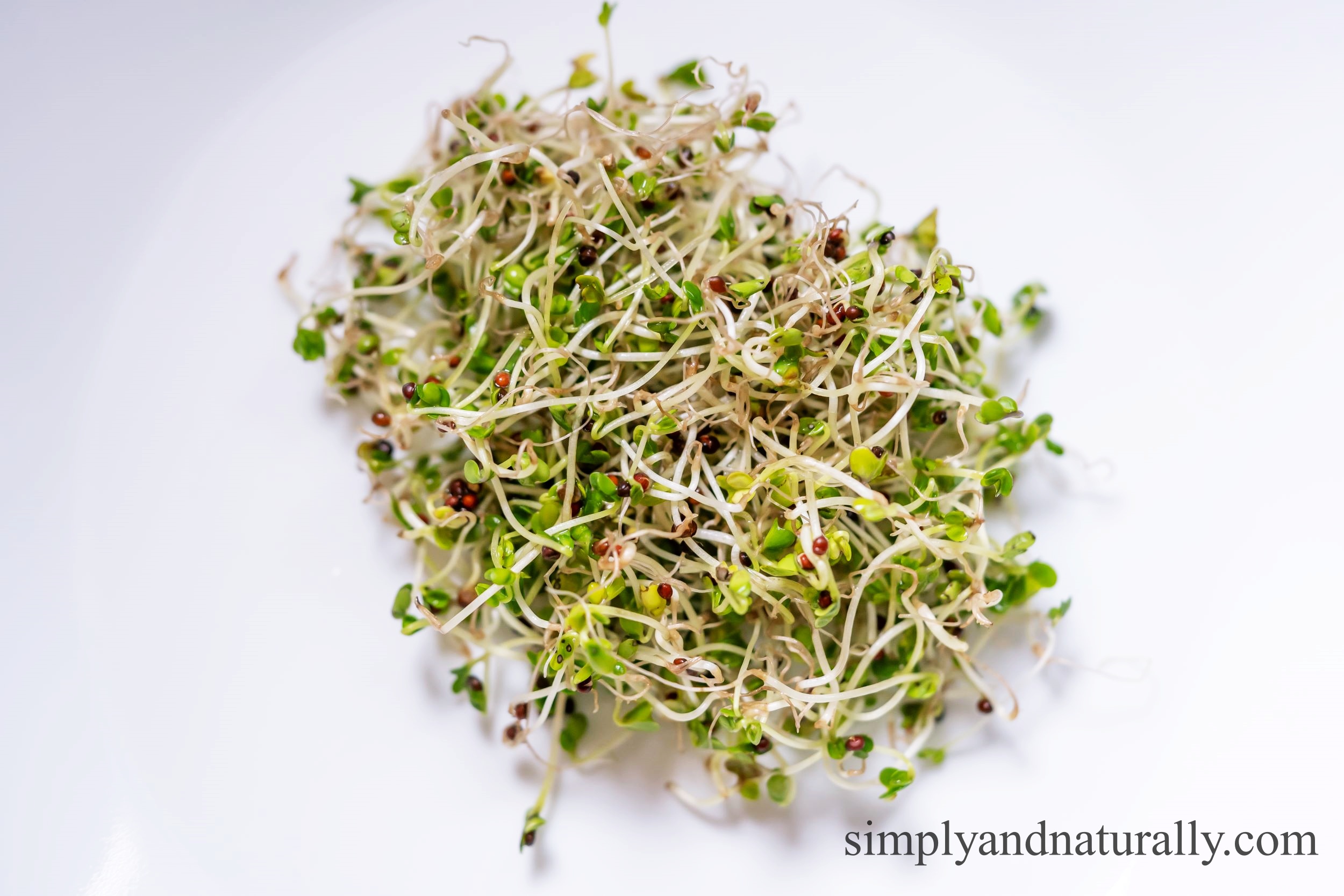 Growing Your Sprouts At Home