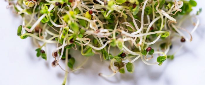 Raw Sprouts and Health Benefits
