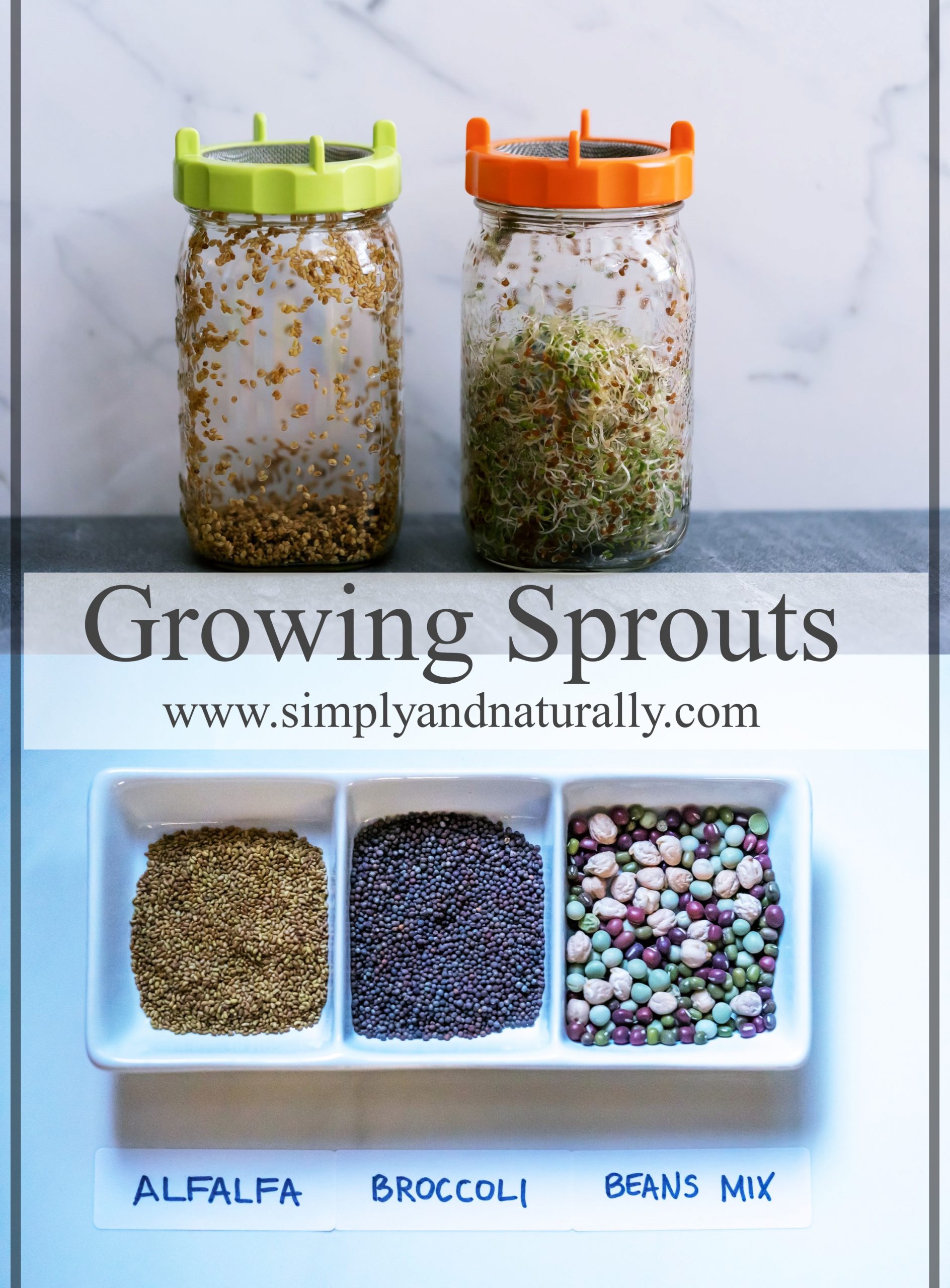 Growing Your Sprouts At Home