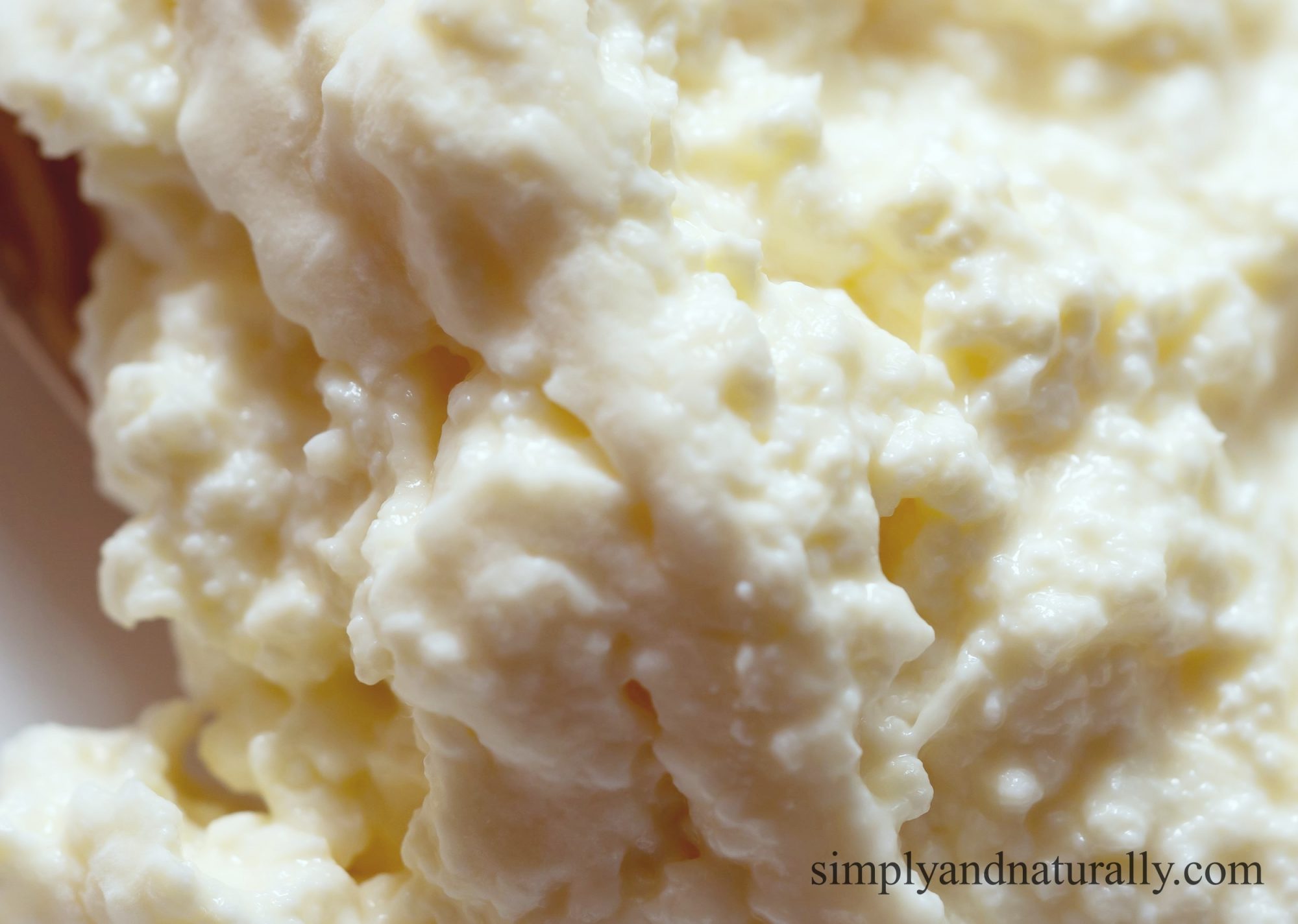 Kefir Grains Hidden SECRETS That Could Change Your Gut Forever