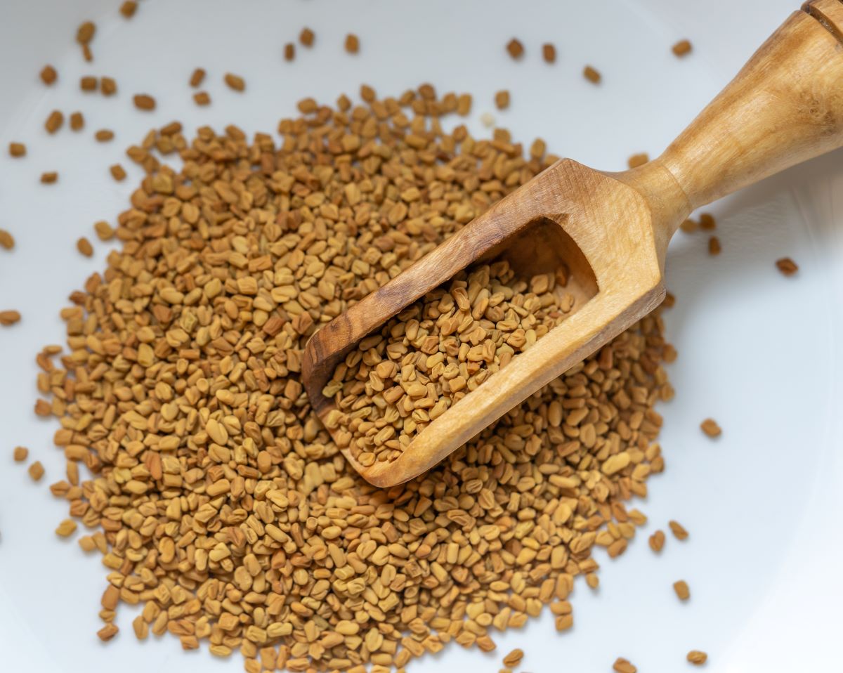 How To Use Fenugreek Herb Simply and Naturally